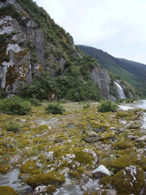 Travel - New Zealand - Franz Josef Glacier